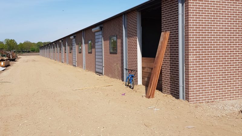 跨境电商独立站建站流程：新手必知的五大步骤